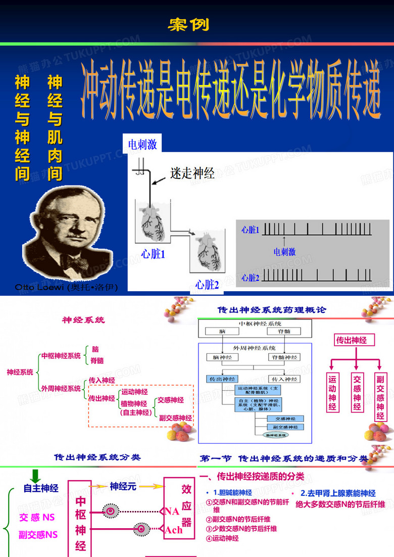 肾上腺素多巴胺