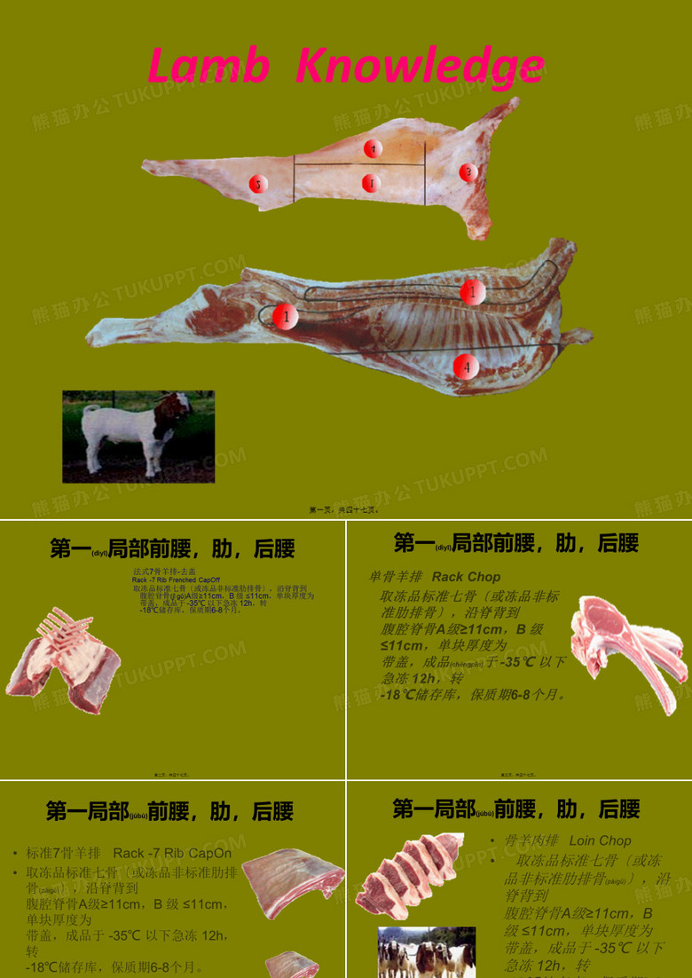 羊肉培训讲义(PPT)