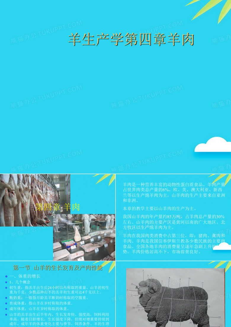 羊生产学第四章羊肉