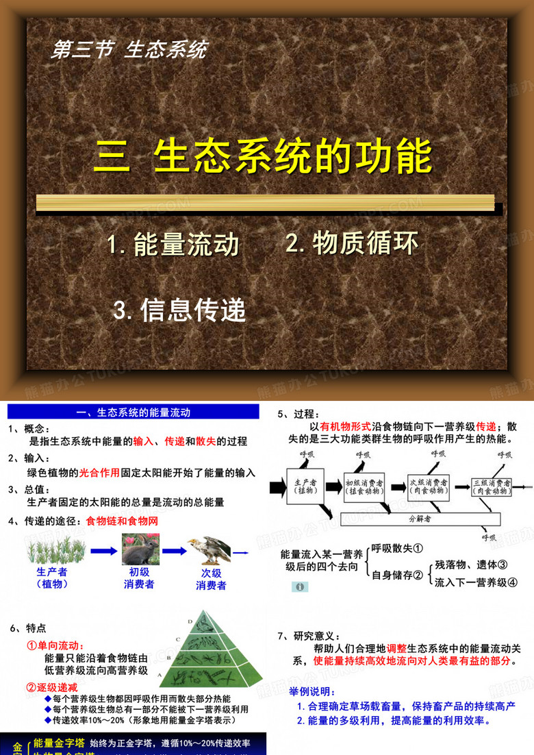 生态系统的功能