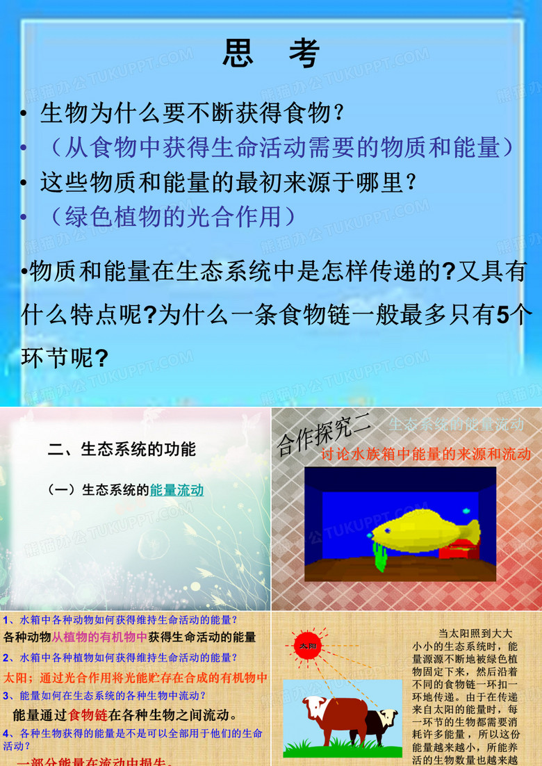 生态系统的功能