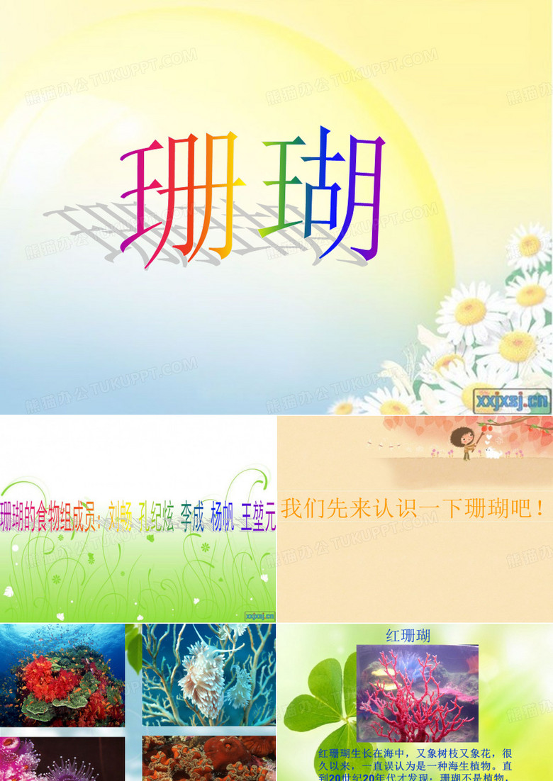 珊瑚的食物ppt