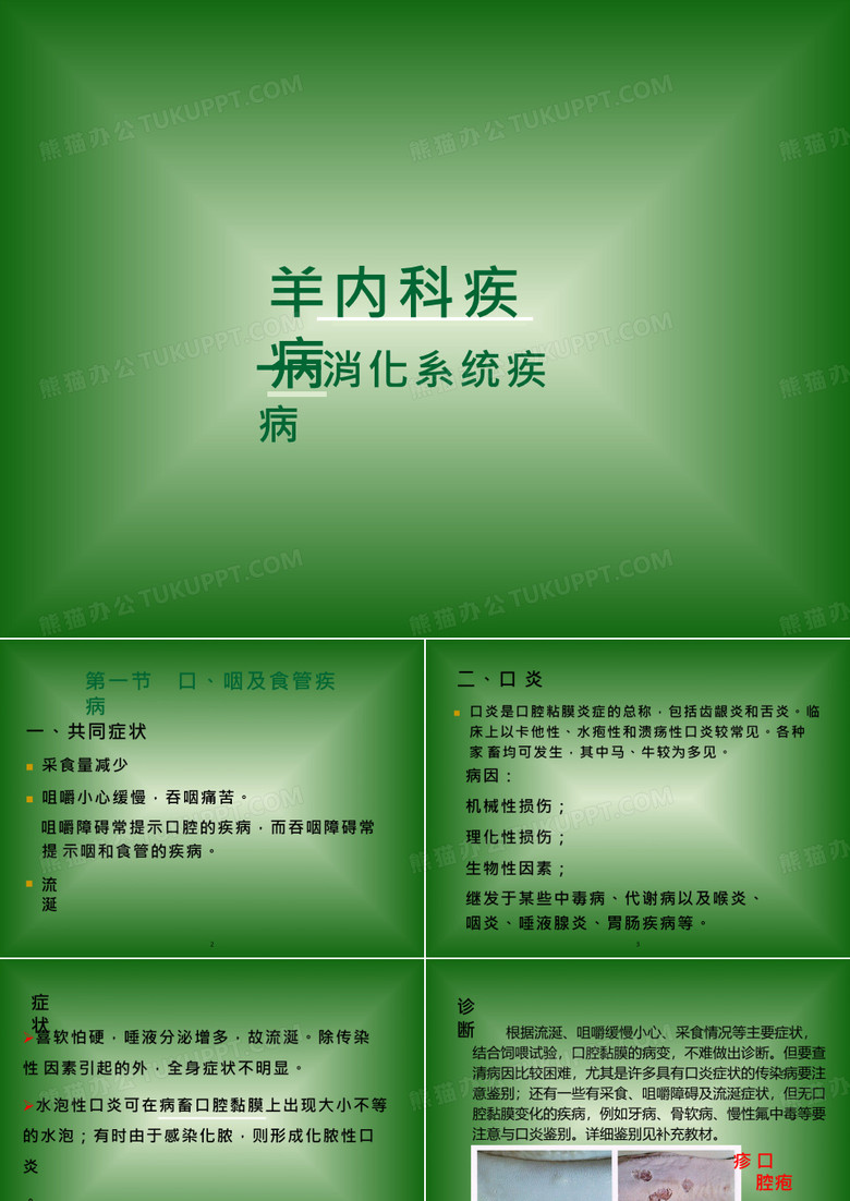 羊消化系统病