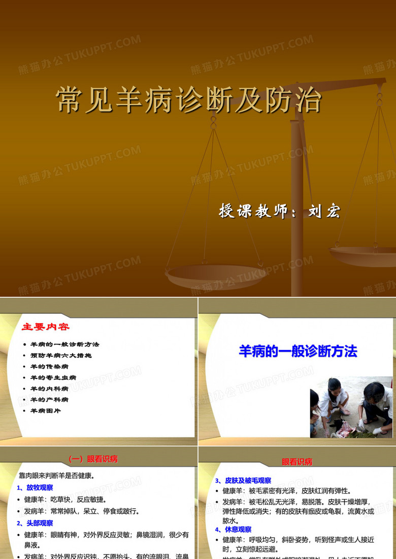 羊病诊断与防治