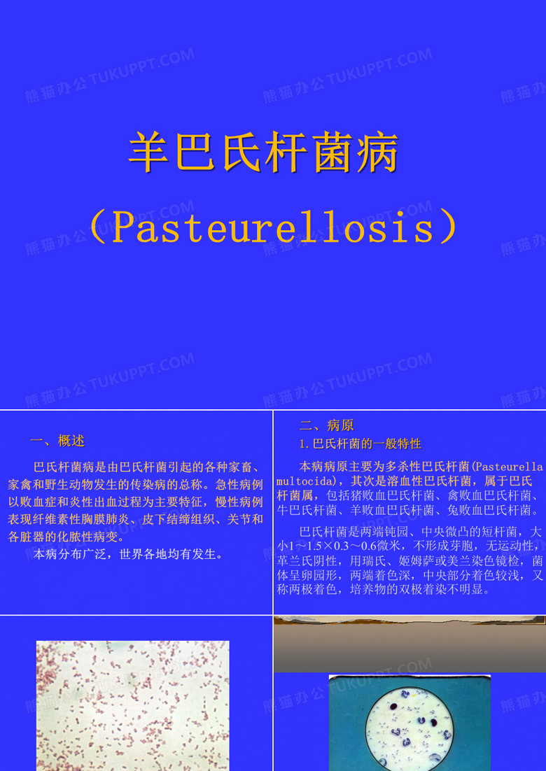 羊巴氏杆菌病