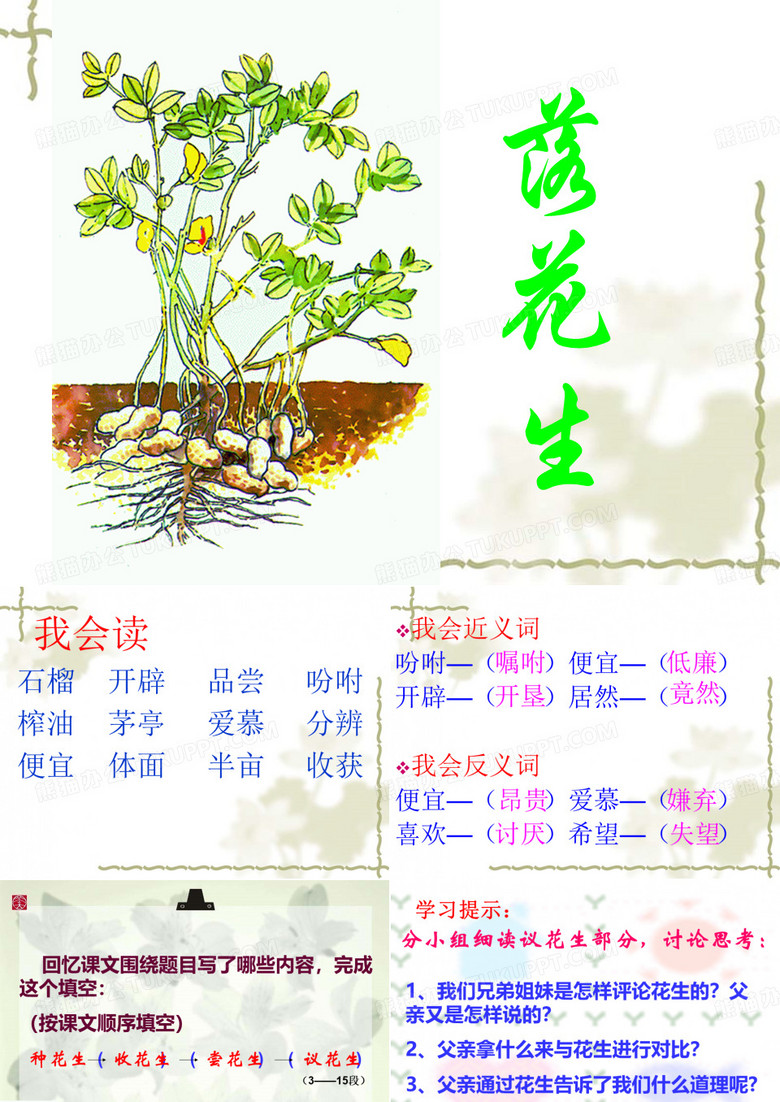 《落花生》