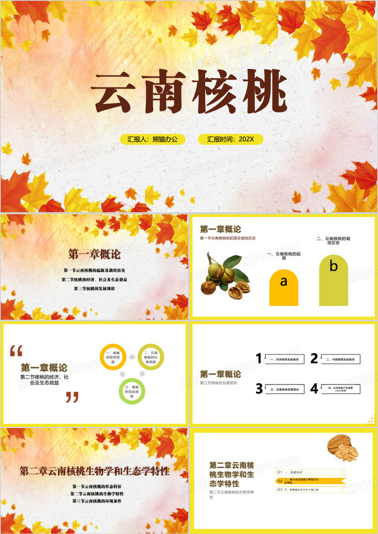 黄色简约云南核桃PPT模板