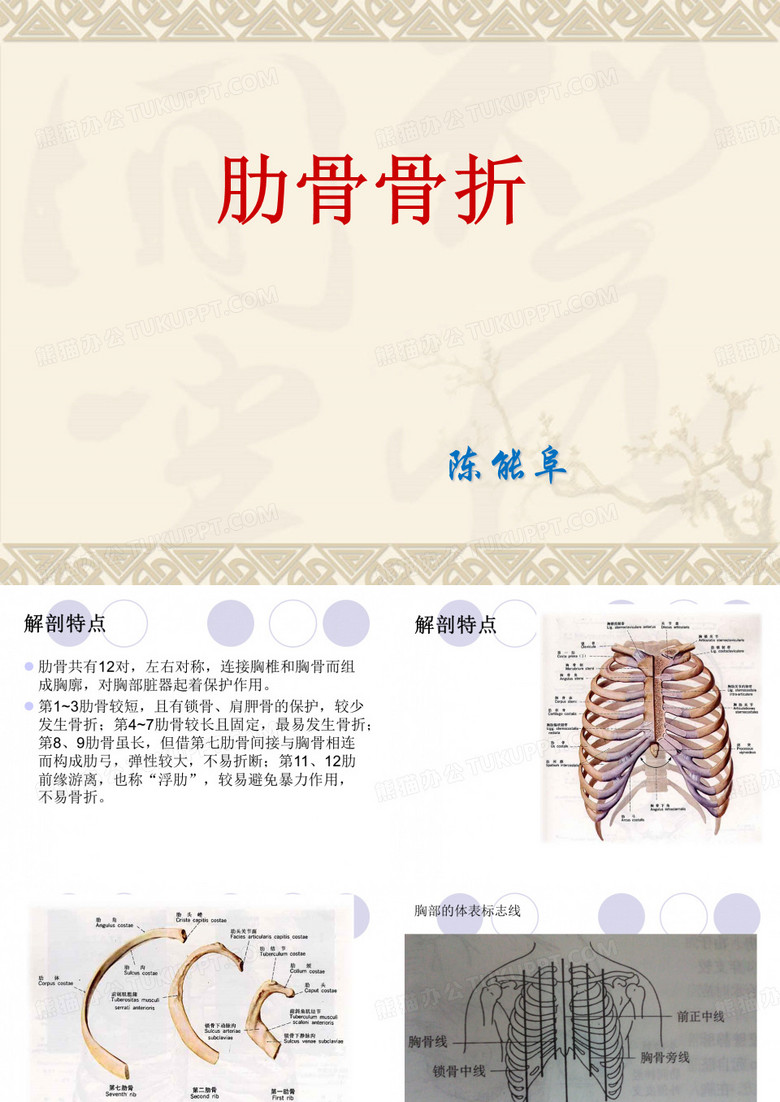肋骨骨折课件