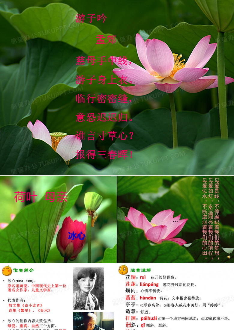 《荷叶母亲》