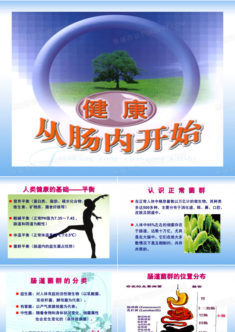 肠道健康