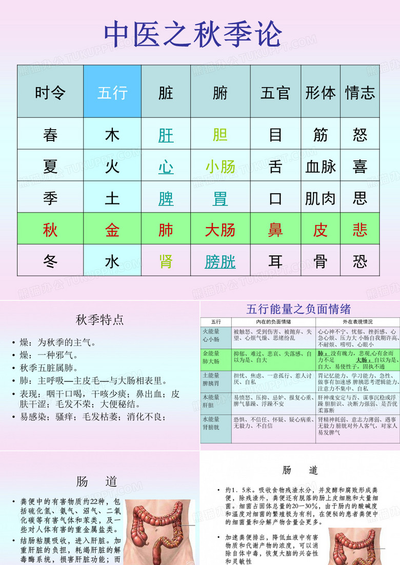 肠道与健康