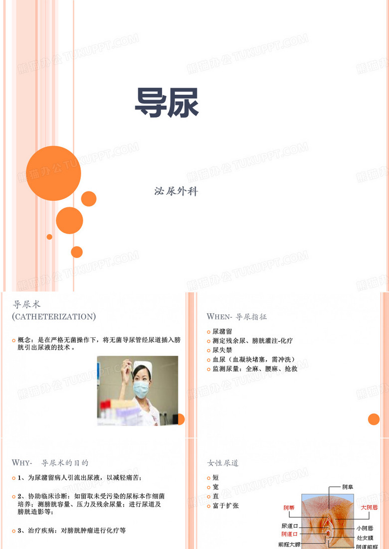 导尿PPT