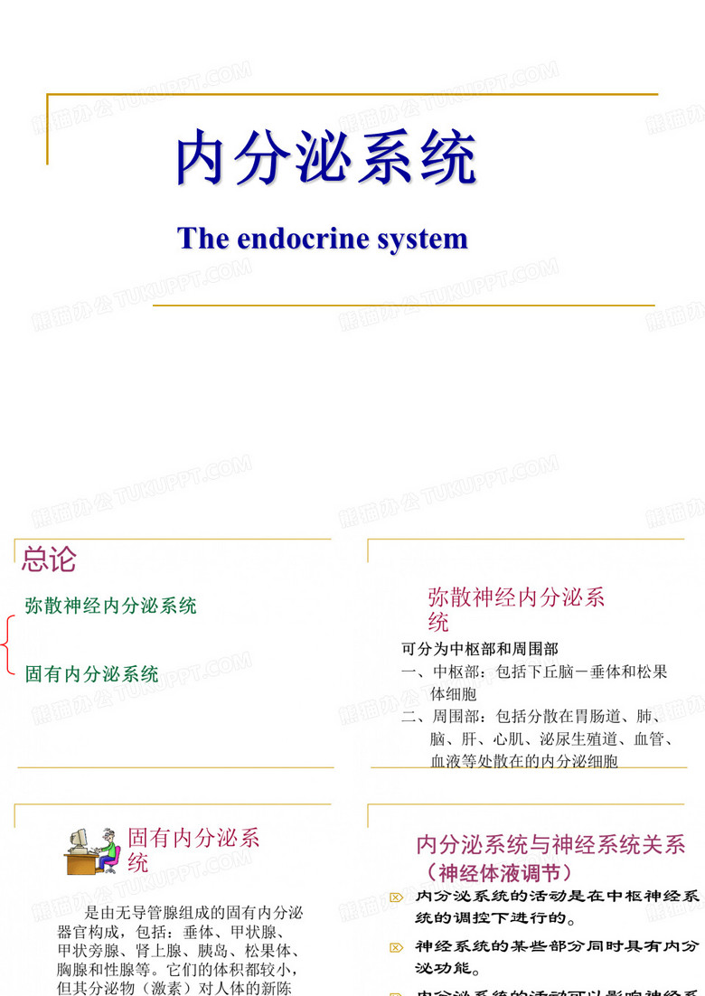 内分泌