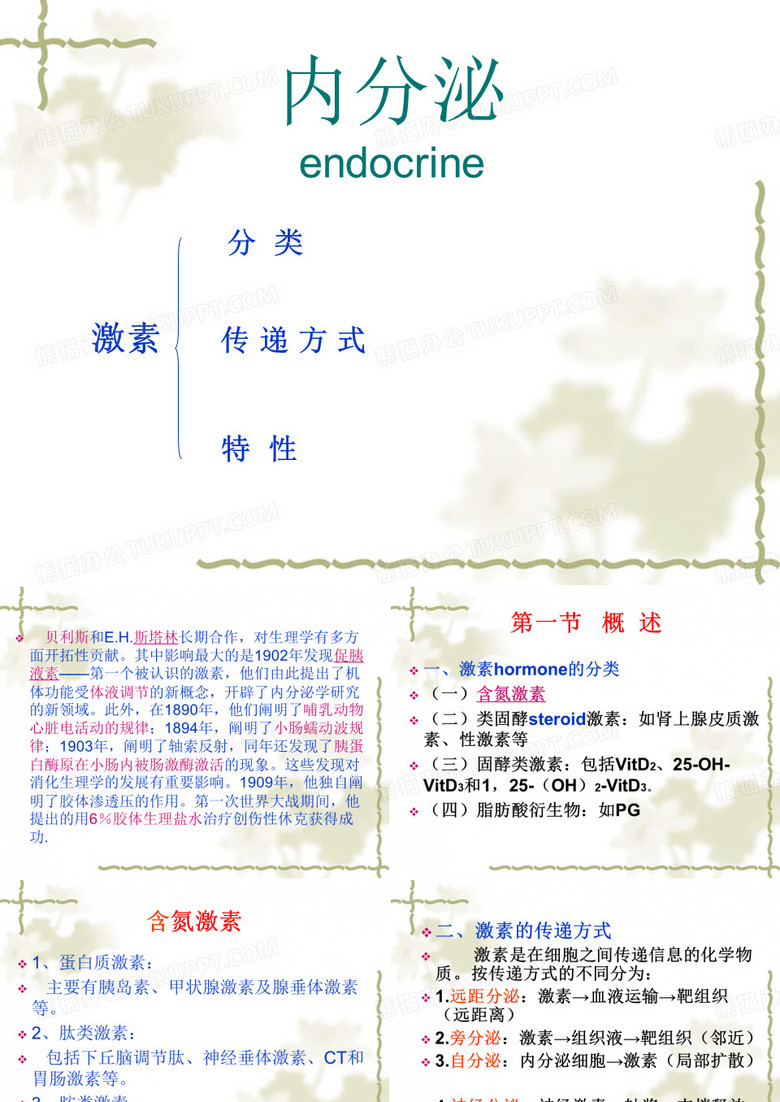 内分泌