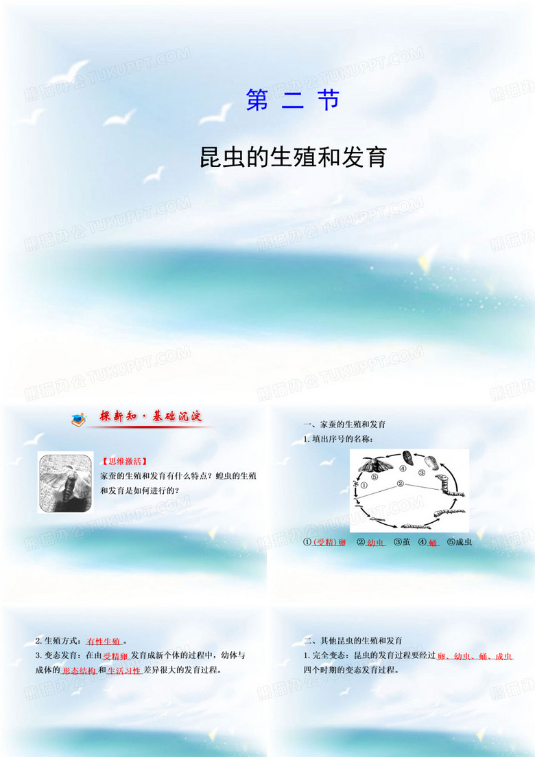 人教版第二节昆虫的生殖和发育课件10PPT