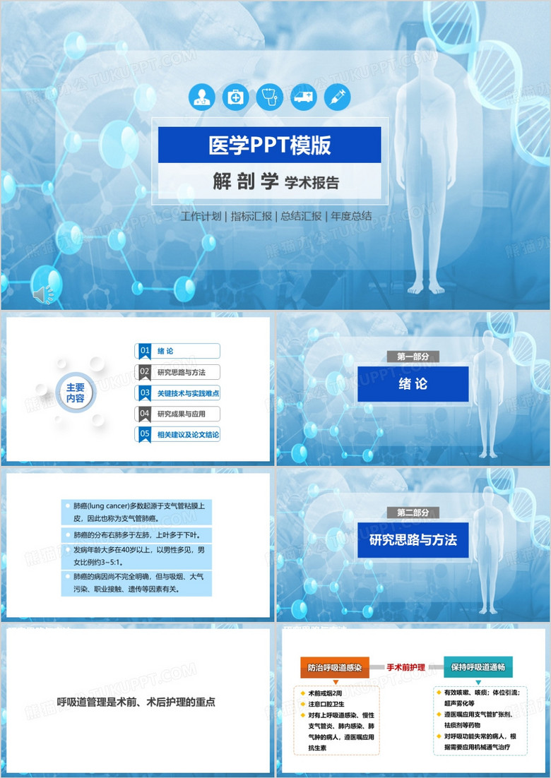 蓝色简约风解剖学学术报告PPT模版