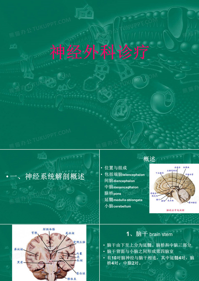 神经外科教学