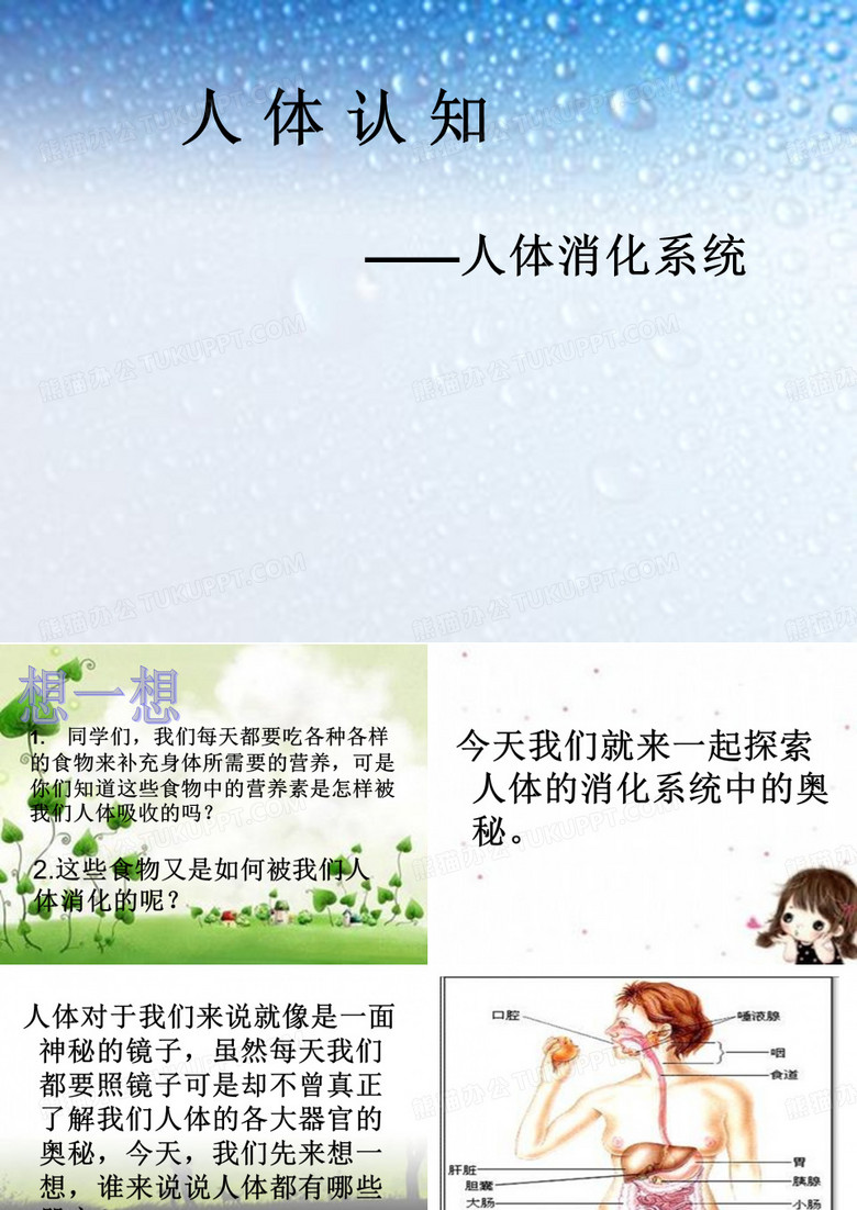 消化系统