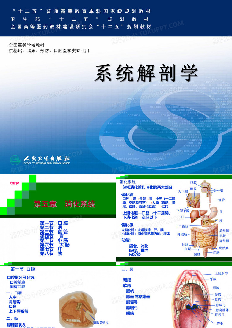 消化系统