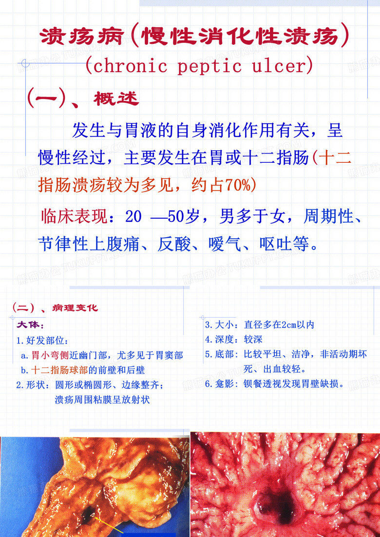 消化系统