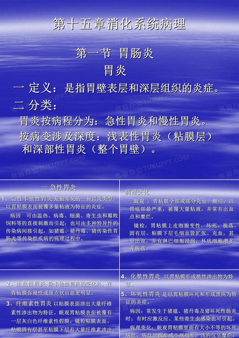 消化系统