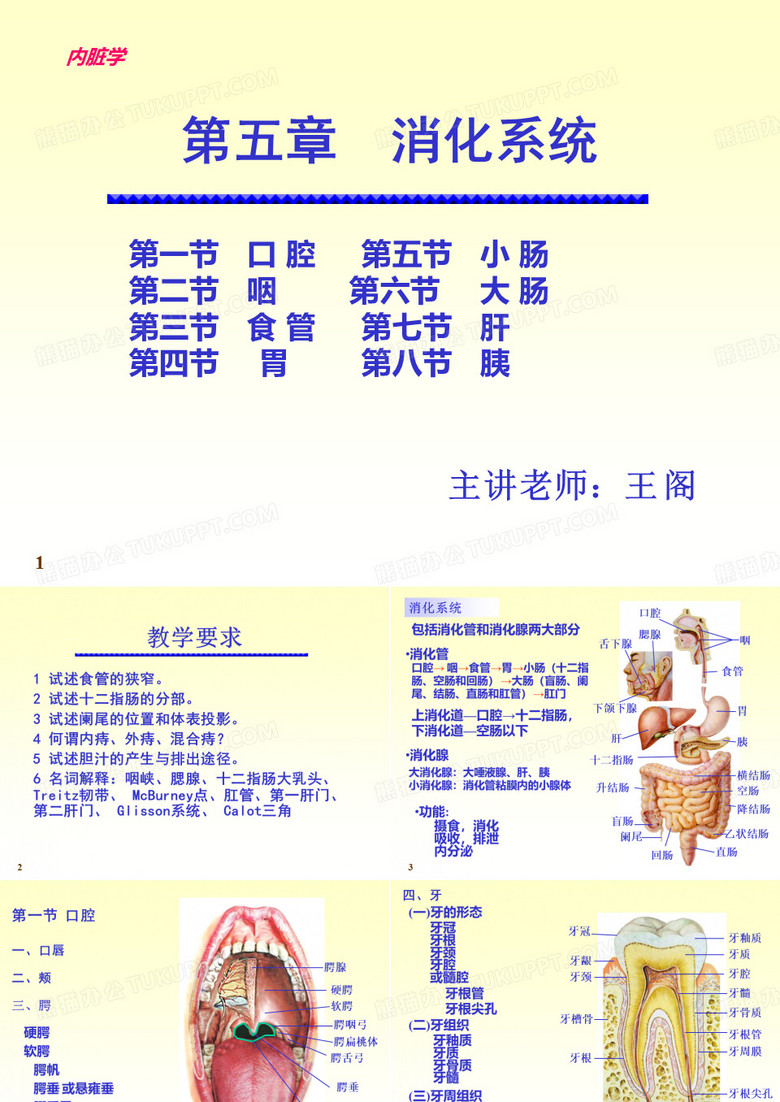 消化系统