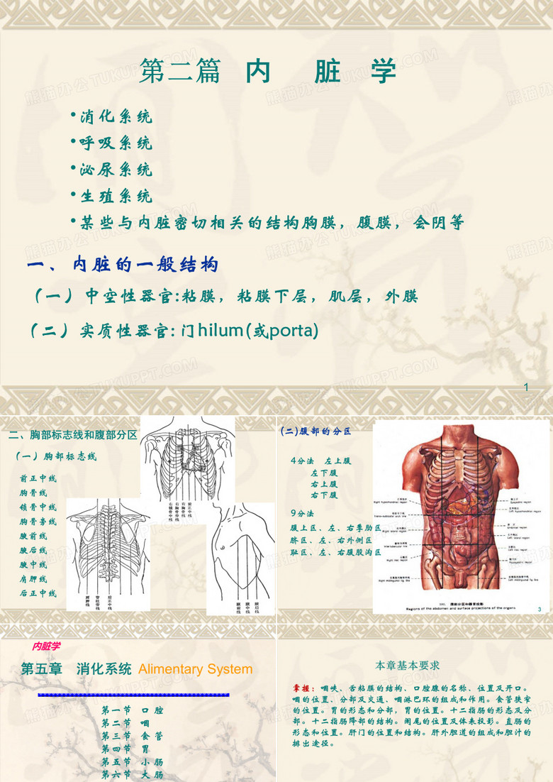 消化系统