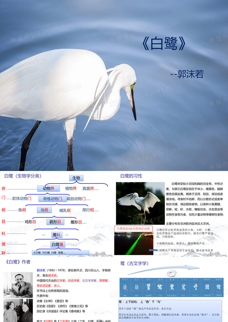 白鹭课程