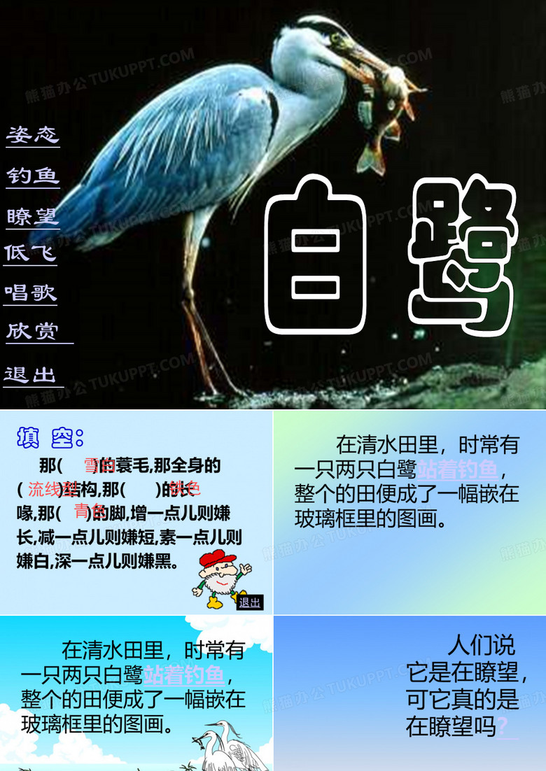 白鹭课件