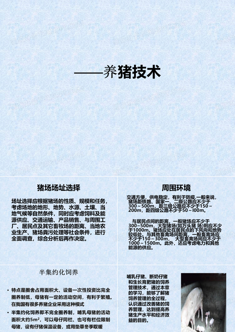 养猪技术