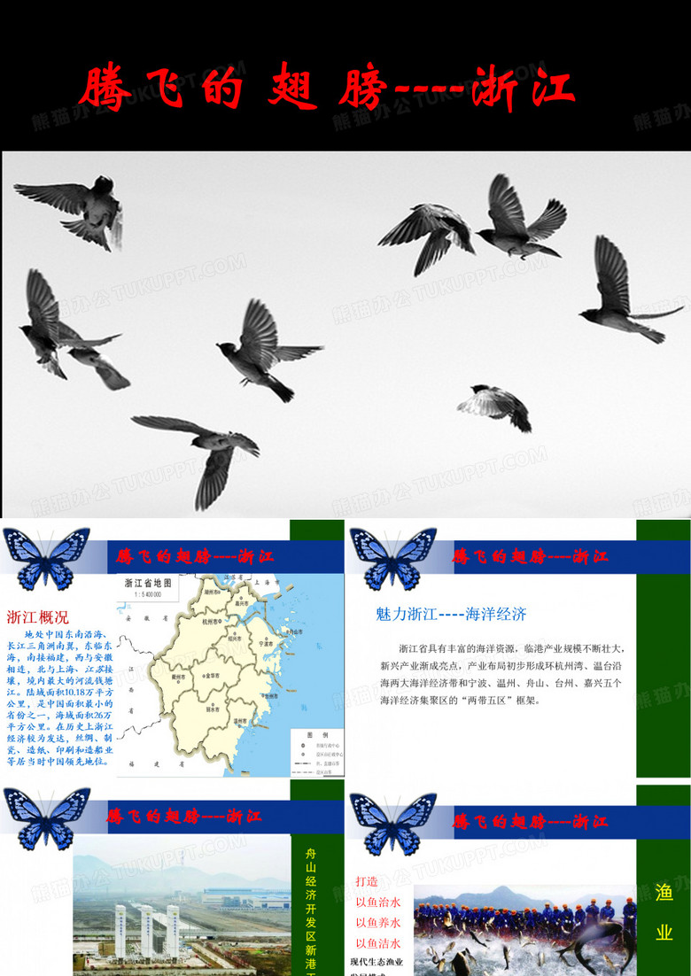 腾飞的翅膀