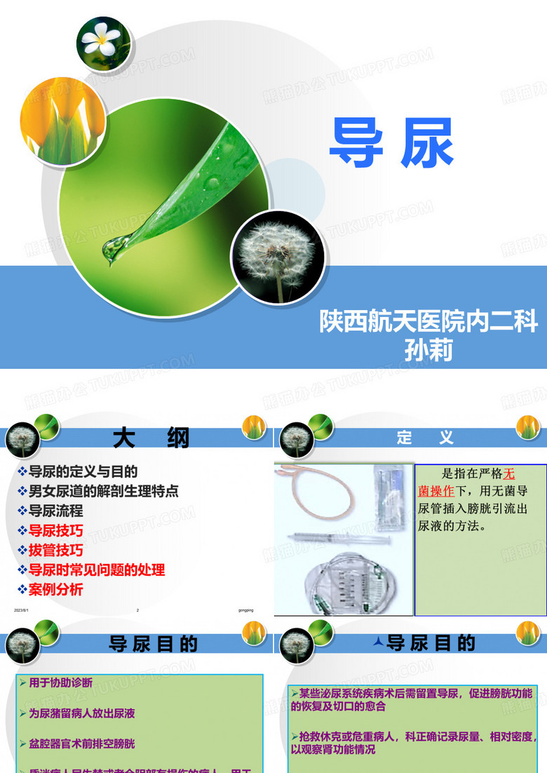 导尿