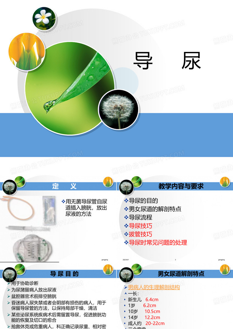 导尿