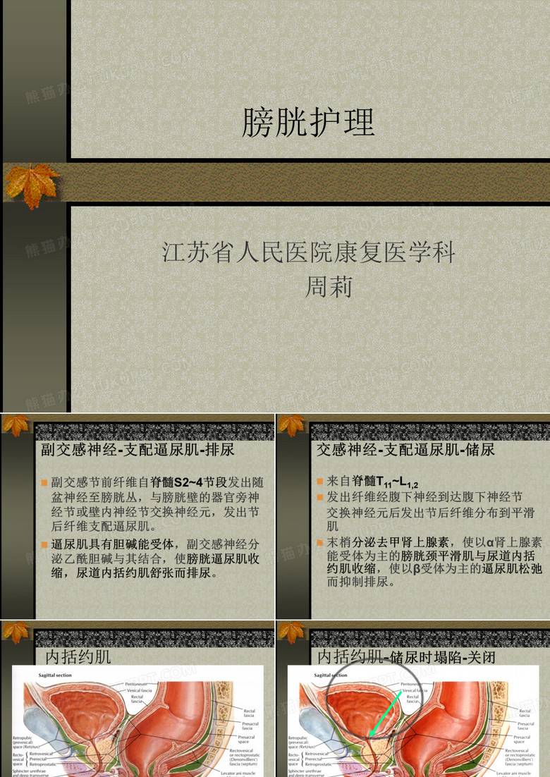 间歇性导尿