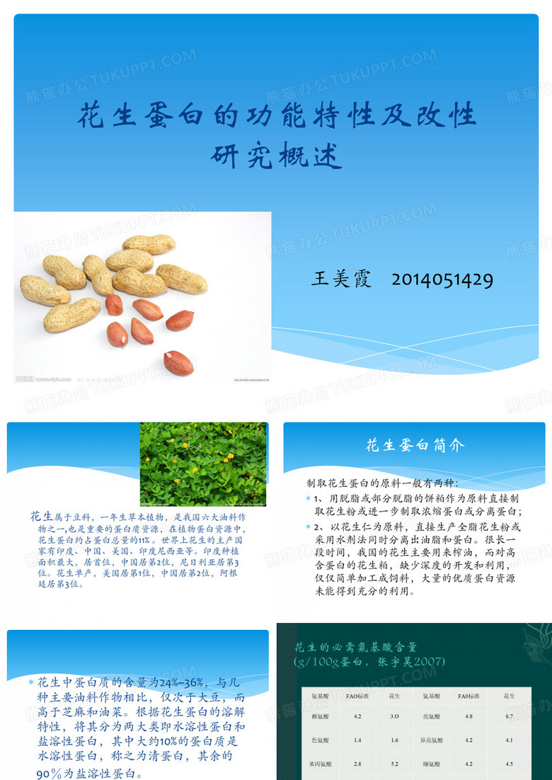 花生蛋白
