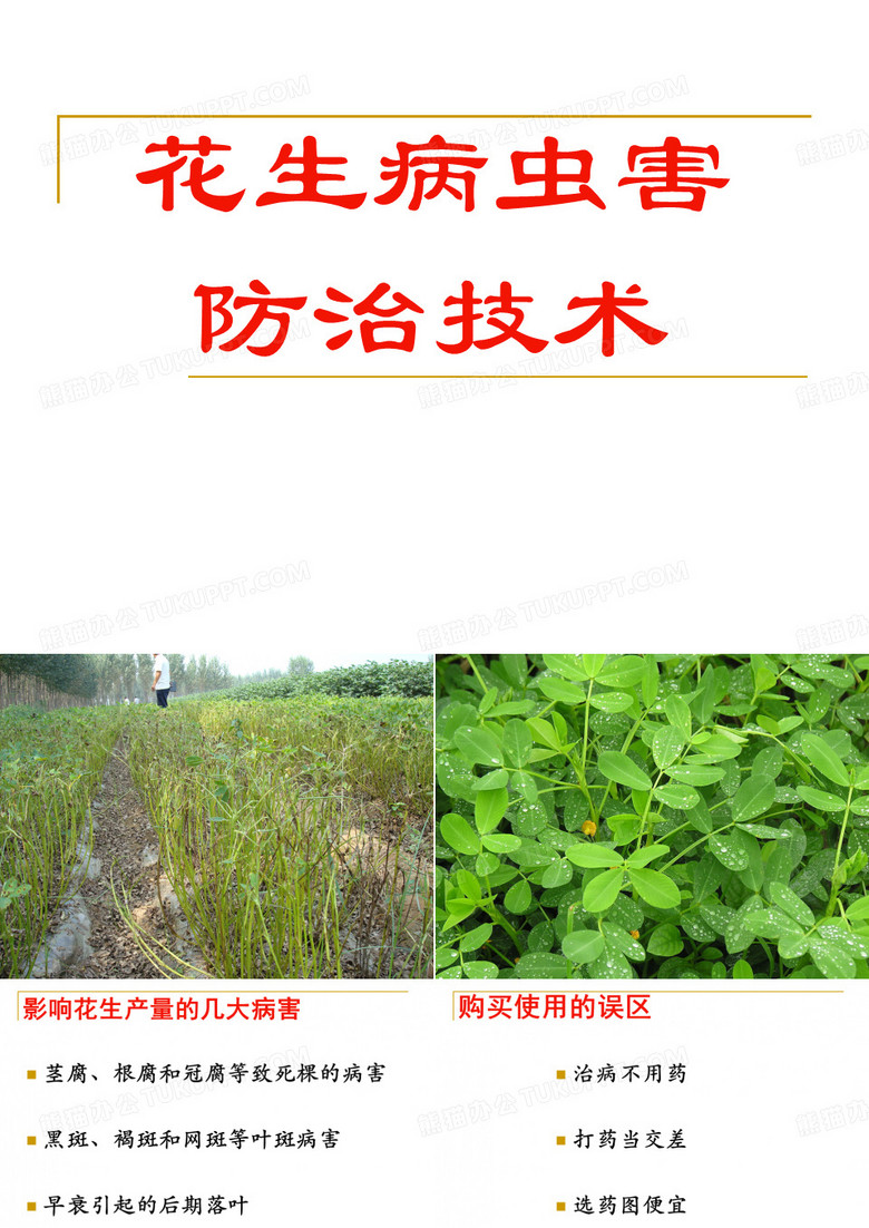 花生课件
