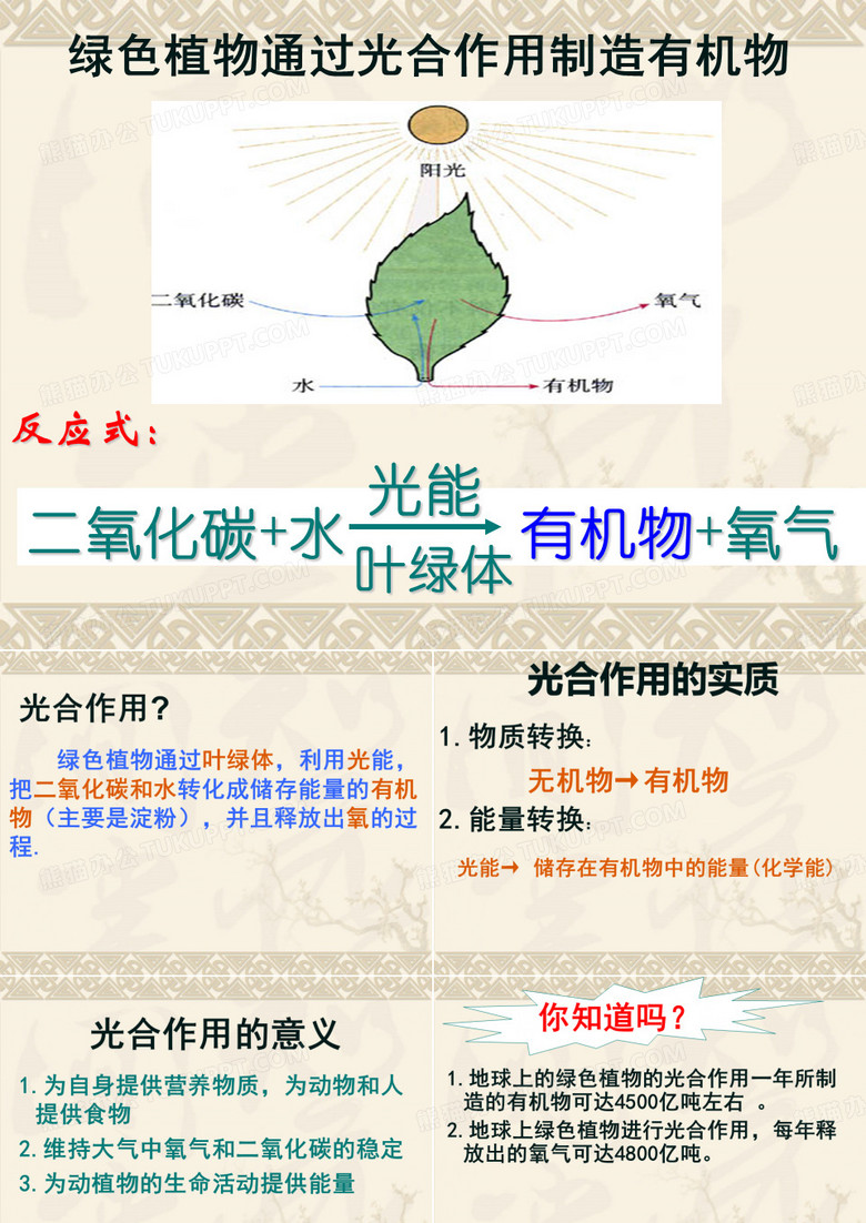 光合作用