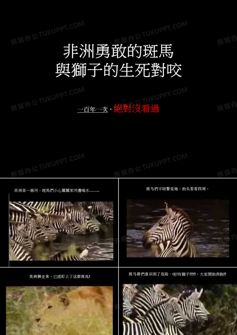 斑马与狮子