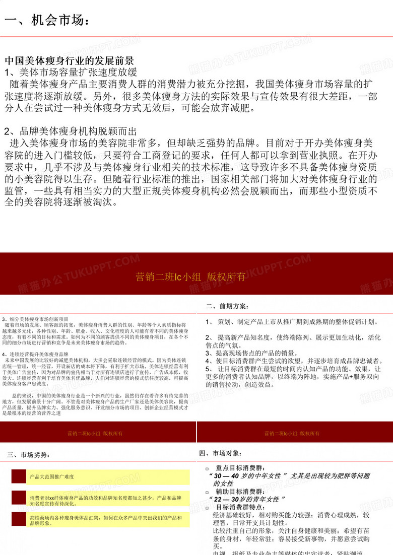 市场营销策划实训-情景模拟1