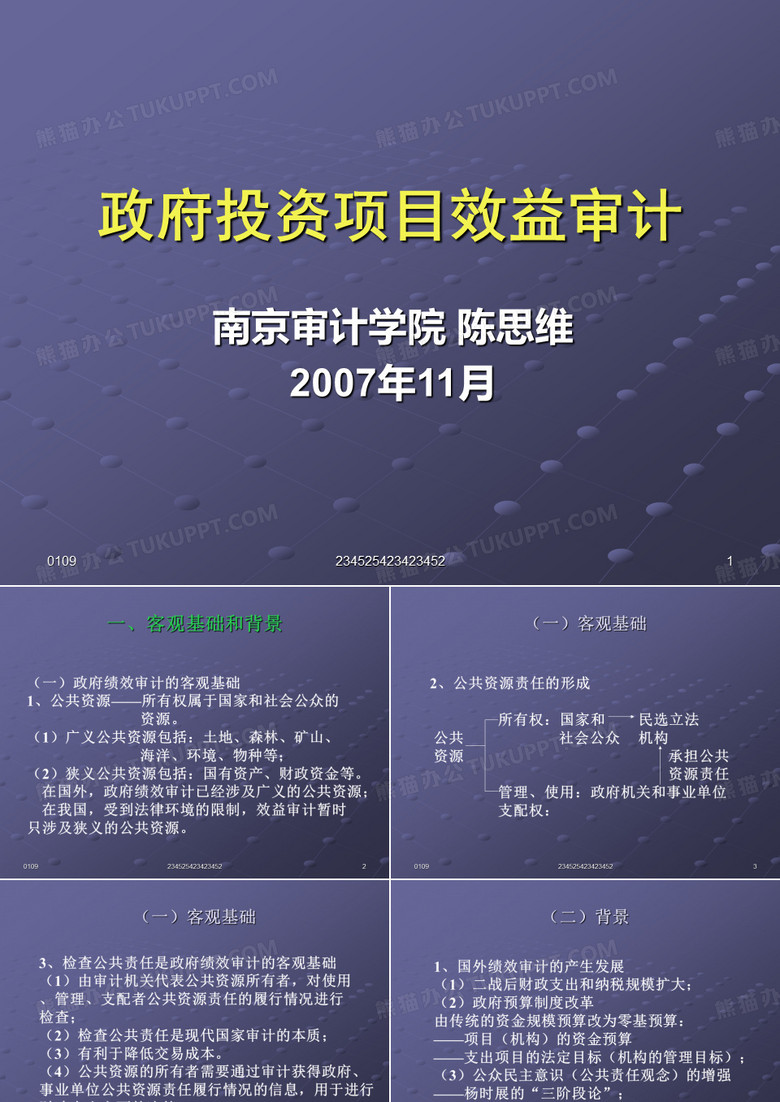 政府投资项目效益审计