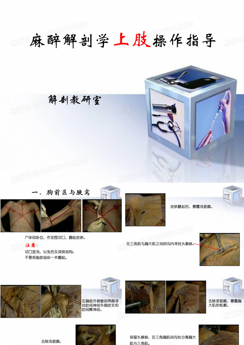 [局部解剖学]麻醉解剖学操作指导