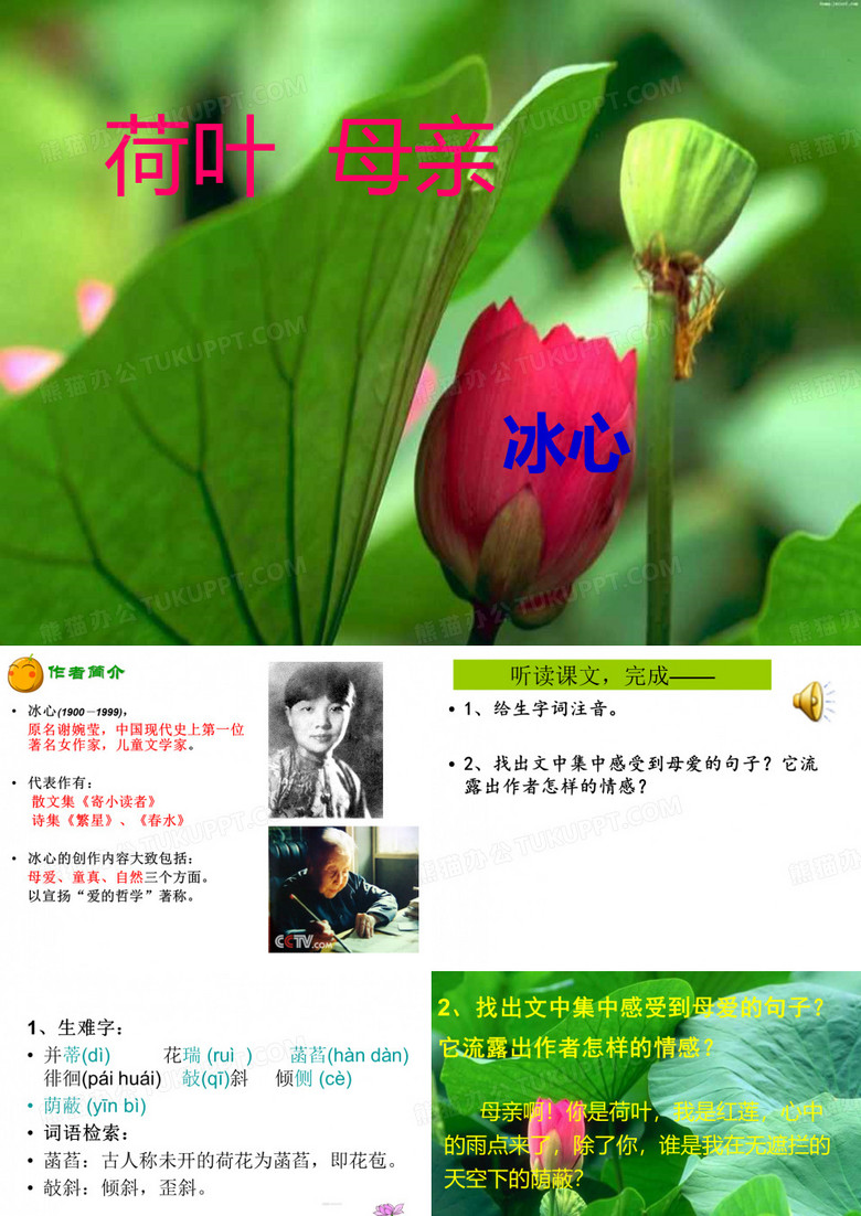 《荷叶.母亲》