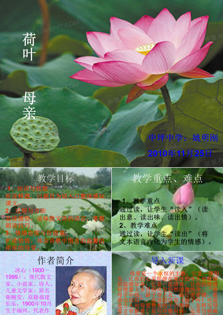 荷叶 母亲