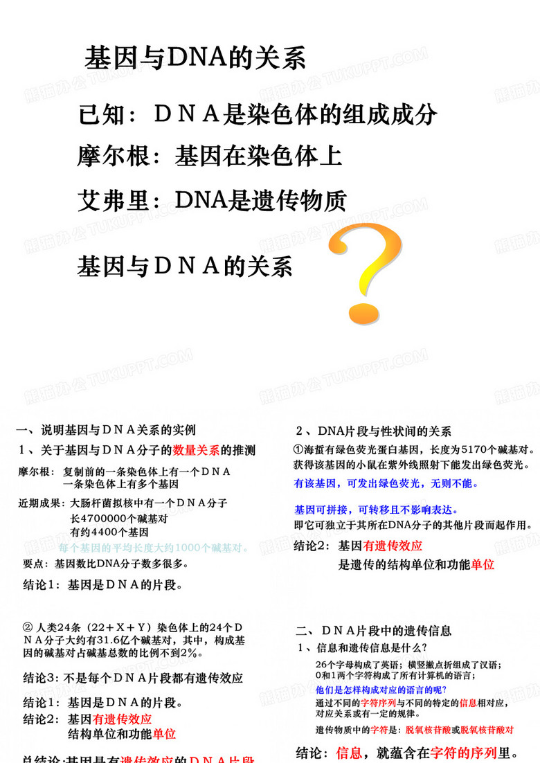 基因与DNA的关系