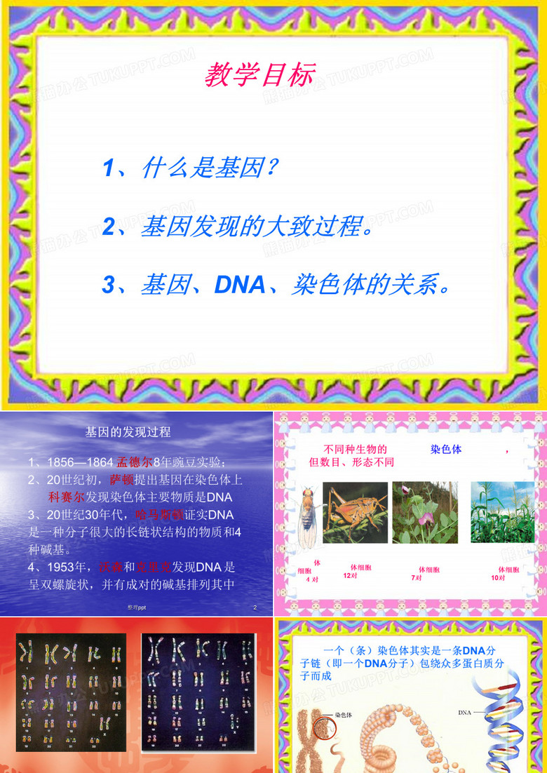 基因DNA染色体的关系