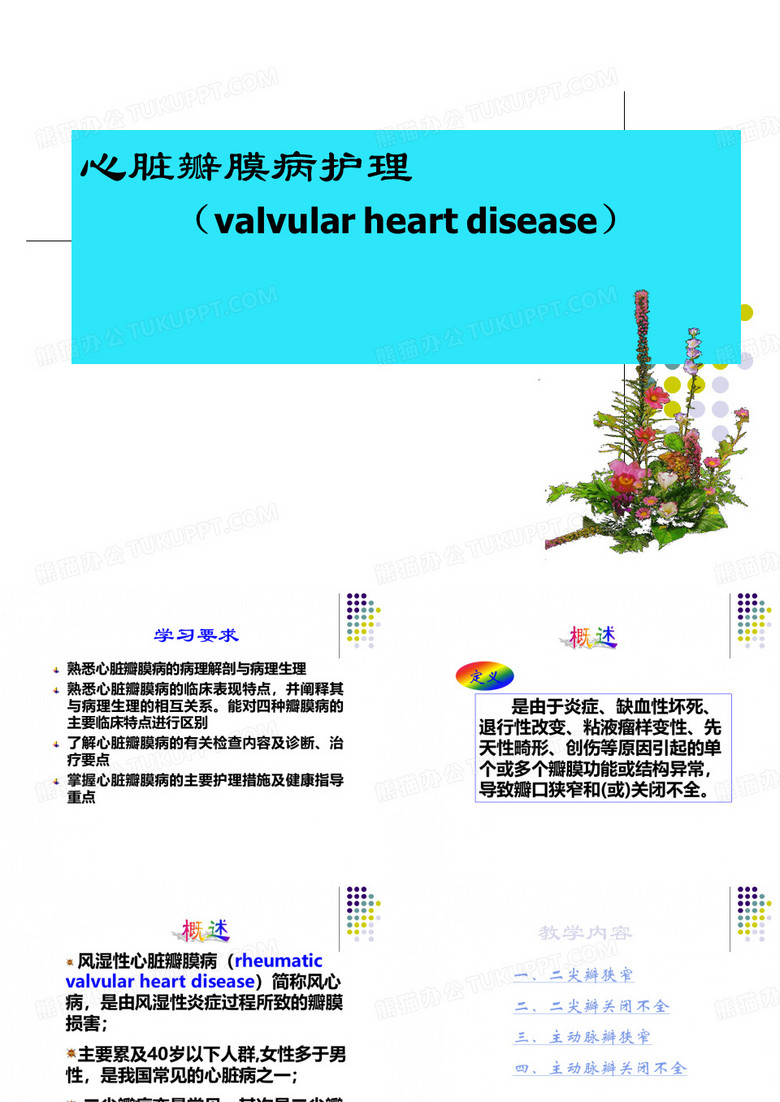 心脏瓣膜病护理