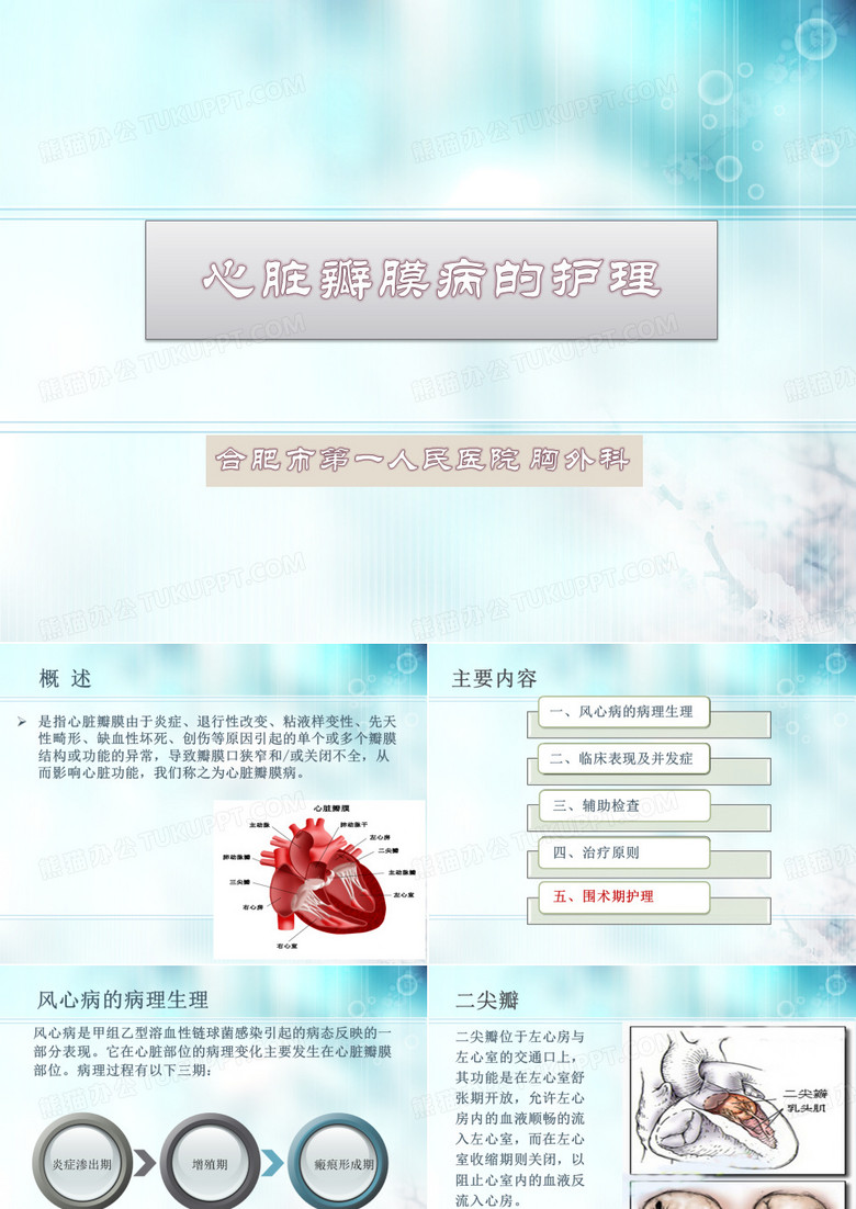 心脏瓣膜病的护理