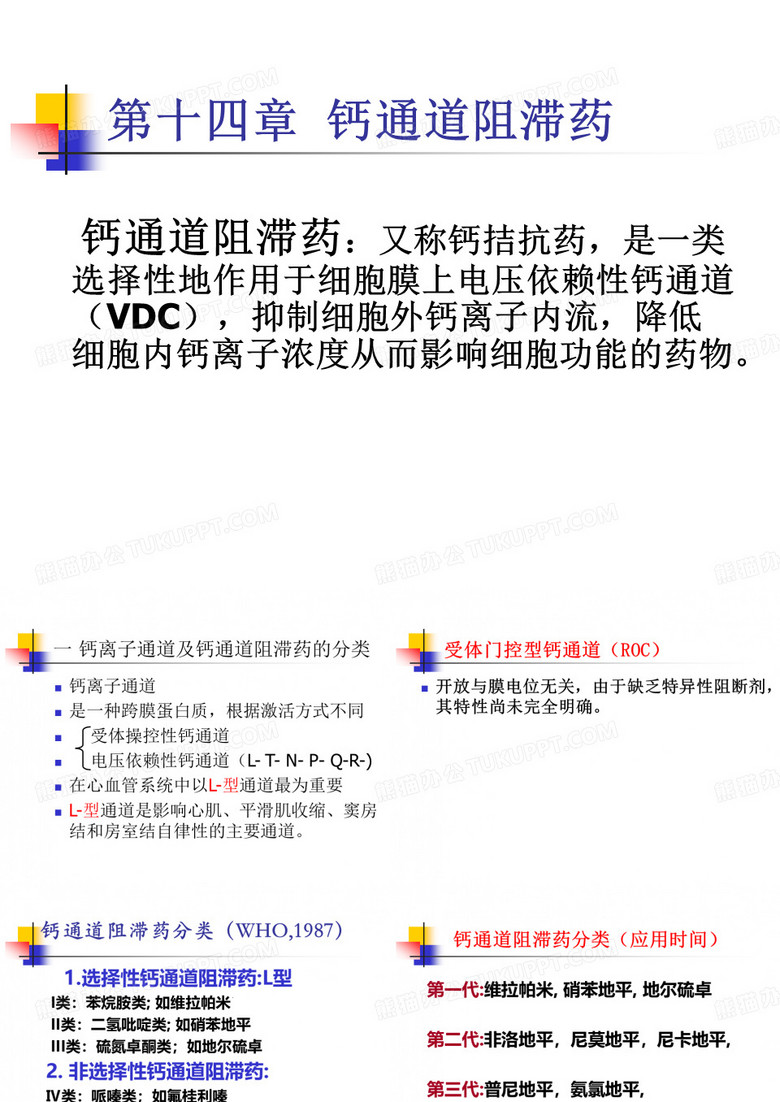 31钙离子通道阻滞药通道概论