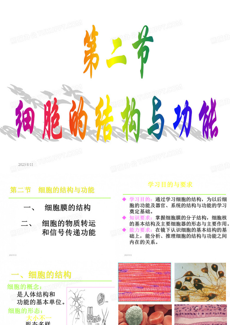 人体细胞结构
