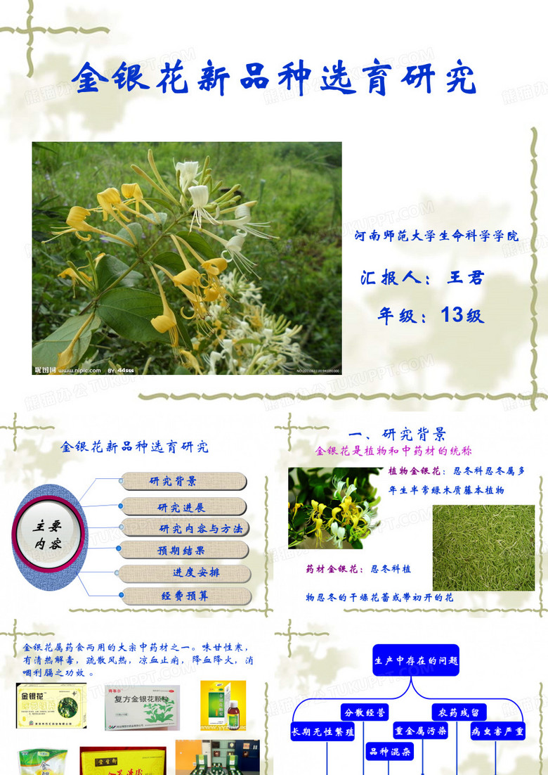 金银花 项目申请